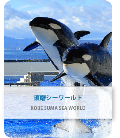 須磨シーワールド