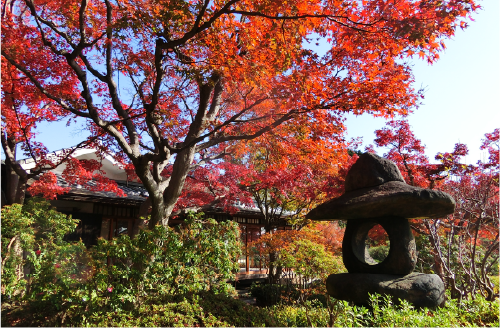 須磨区月見山の周辺スポット・須磨離宮公園の和庭園