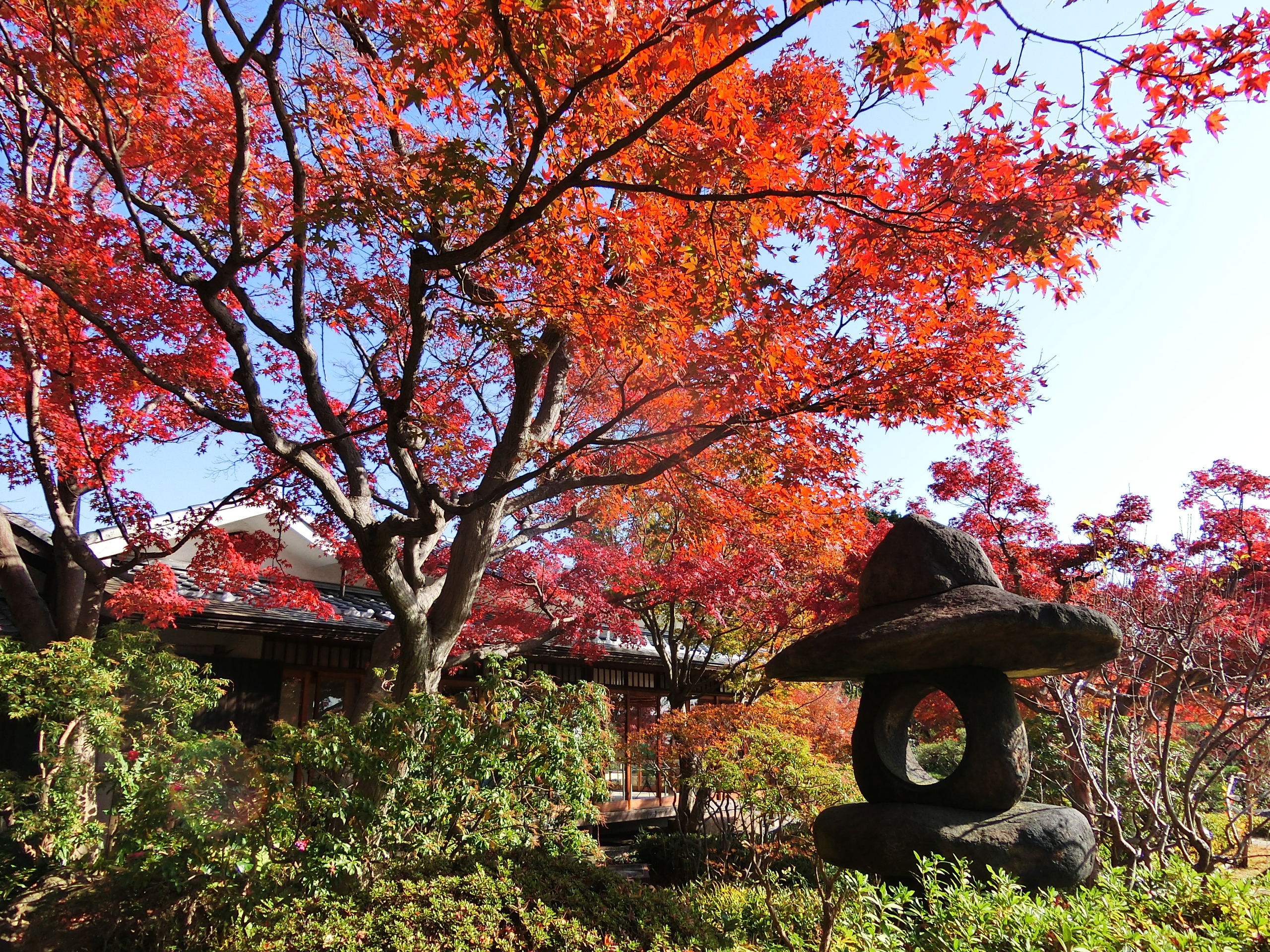 須磨離宮公園の和庭園