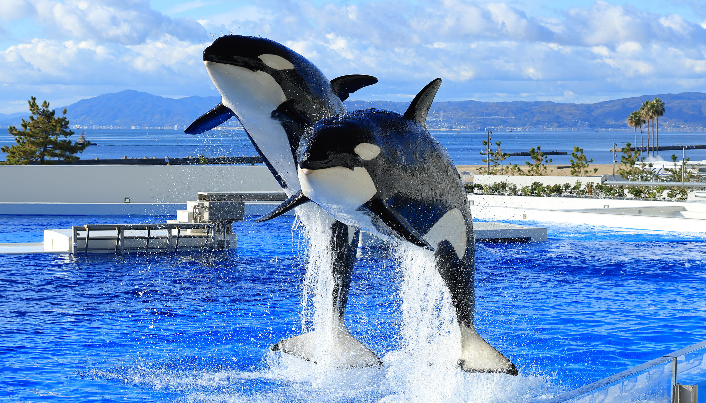 神戸須磨シーワールド